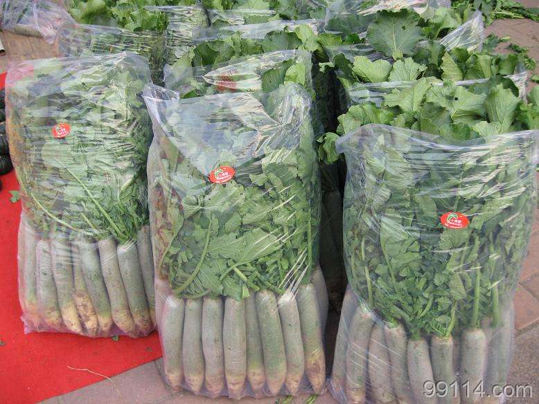 30个大包装潍县萝卜